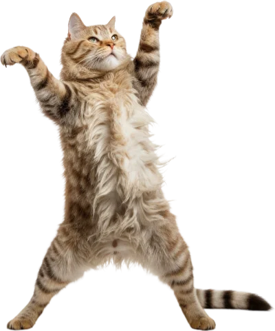 Adspire Template Cursor Trail Image